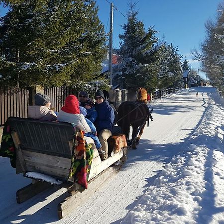Pension Doru Белиш Экстерьер фото