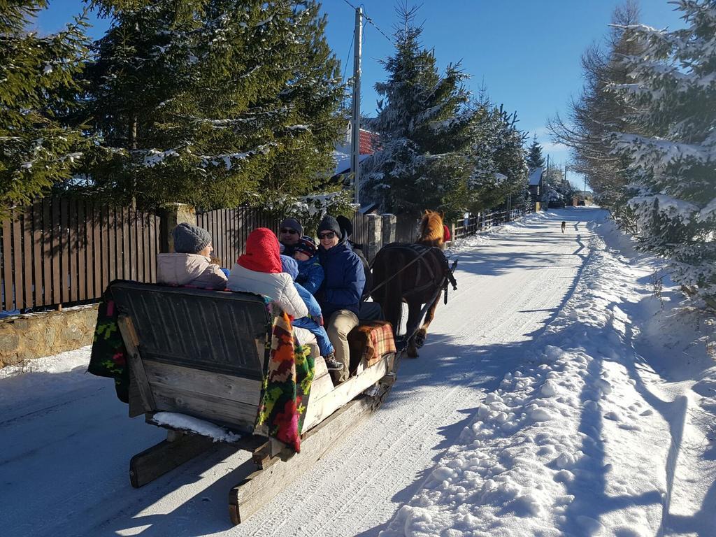 Pension Doru Белиш Экстерьер фото